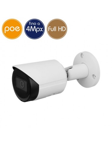 Camera IP PoE - 4 Megapixel / Full HD (1080p) - Ultra Low Light - IR 30m